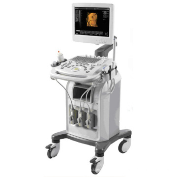 Full Digital Color Doppler Ultrasound Diagnostic System